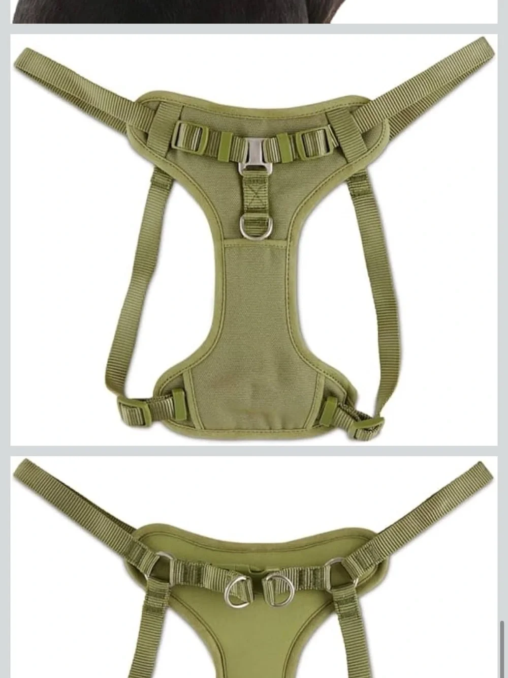 Olive Green Padded Dog Harness with Adjustable Straps
